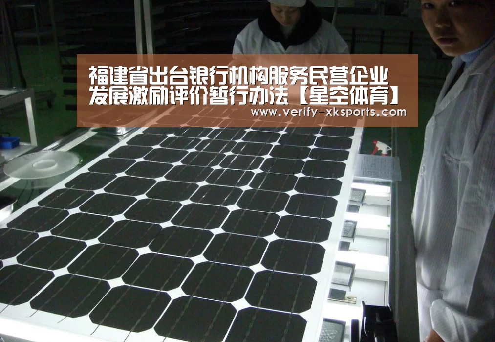 福建省出台银行机构服务民营企业发展激励评价暂行办法【星空体育】(图2) 星空体育官网