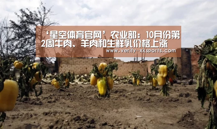 星空体育中国