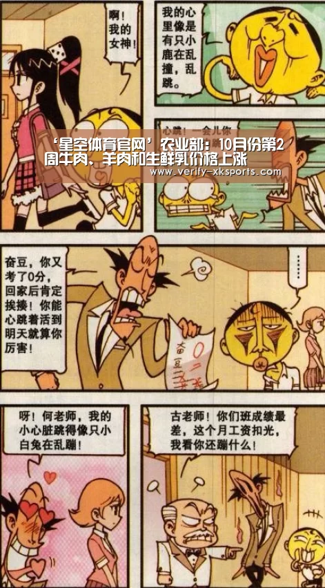 星空体育官网