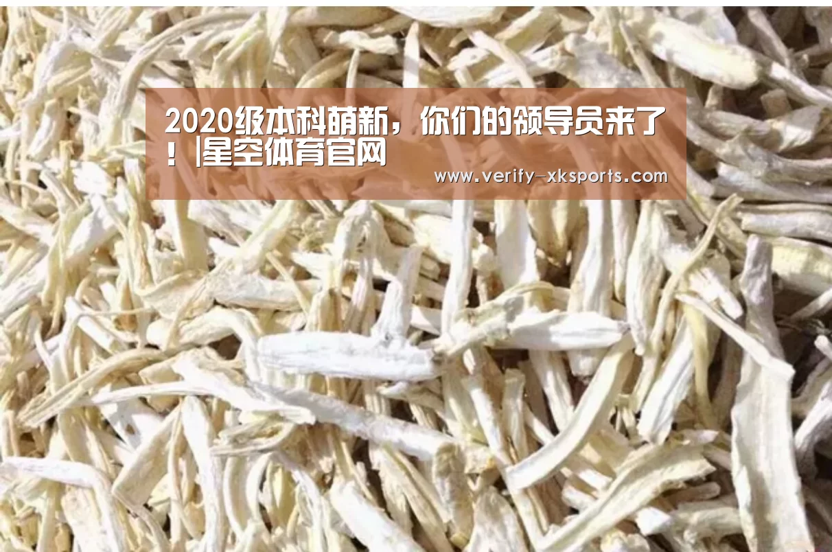2020级本科萌新,你们的领导员来了!|星空体育官网(图1) 星空体育